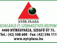 Nyírplaza