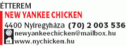   - New Yankee Chicken